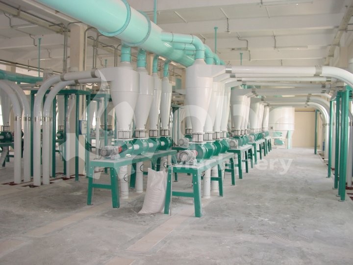 500t flour plant